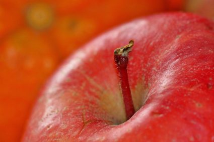 De ANATO 2026, luto y reconciliación…