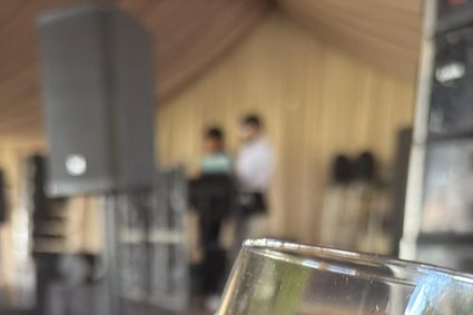 Invitan a tomar un vinito en El Paraíso durante la vendimias de Guanajuato