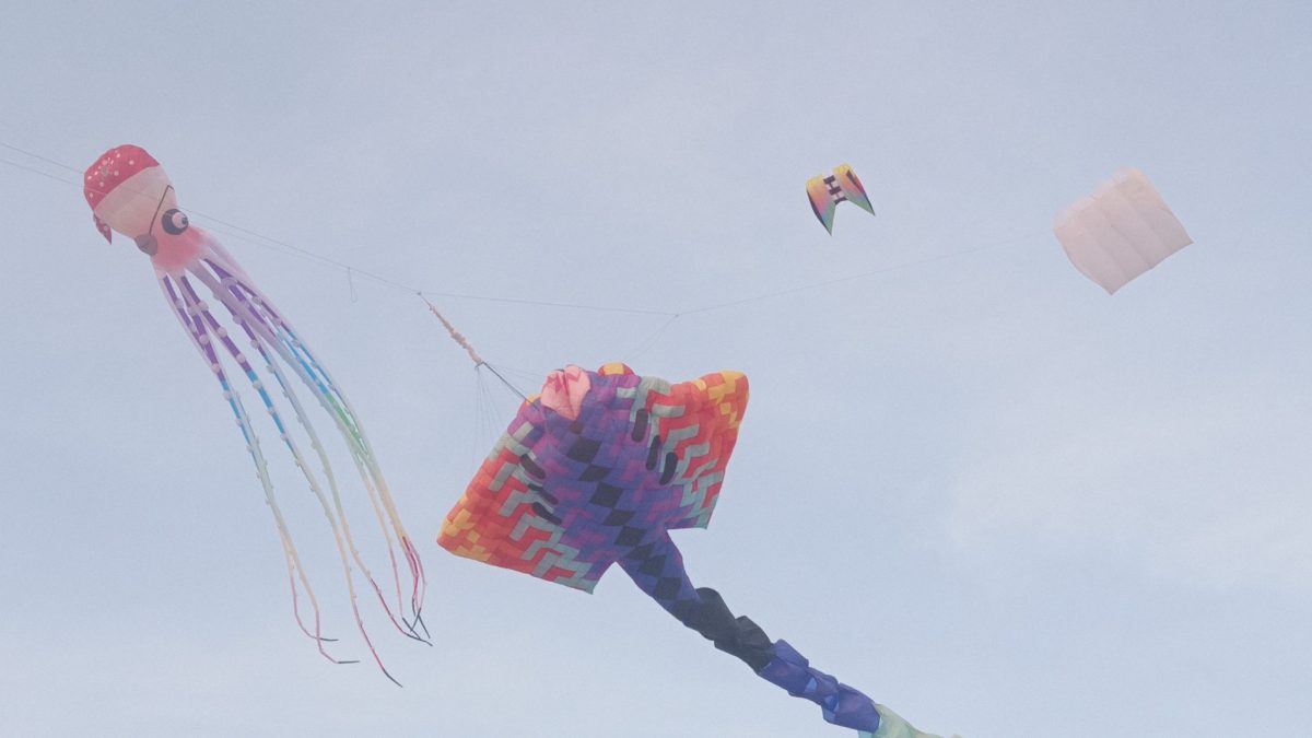 Festival Internacional de Papalotes y Cometas M.R. México