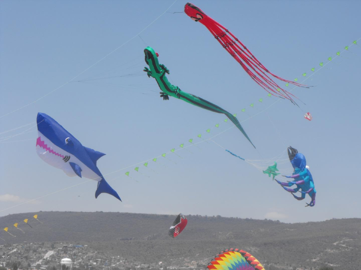 Festival Internacional de Papalotes y Cometas M.R. México