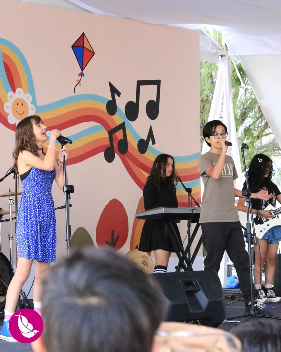 Festival Internacional de Papalotes y Cometas M.R. México