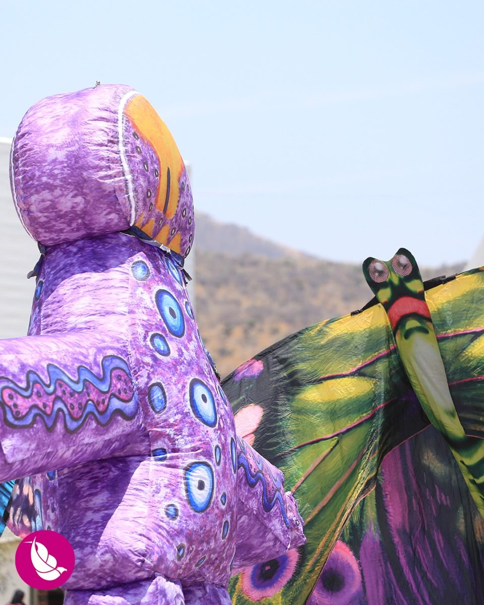 Festival Internacional de Papalotes y Cometas M.R. México