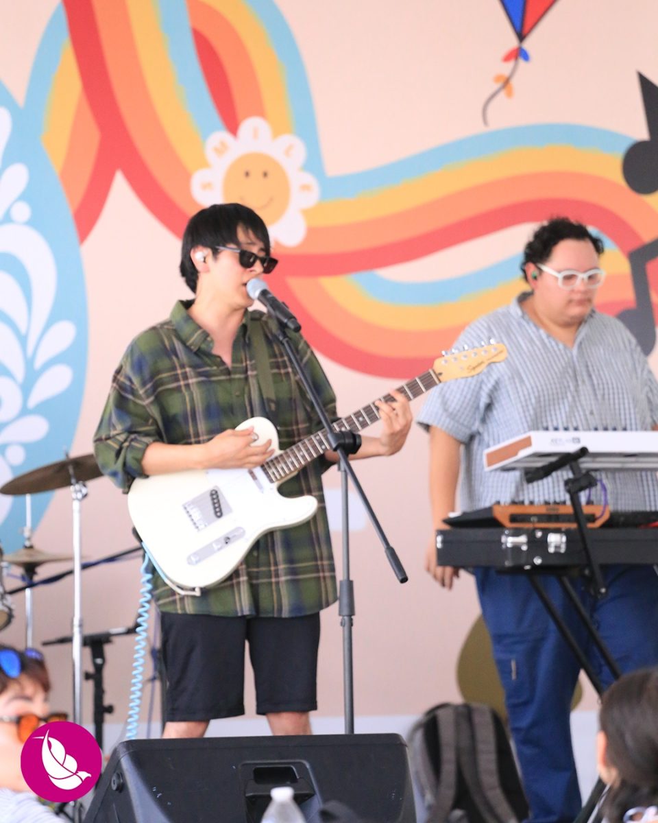 Festival Internacional de Papalotes y Cometas M.R. México