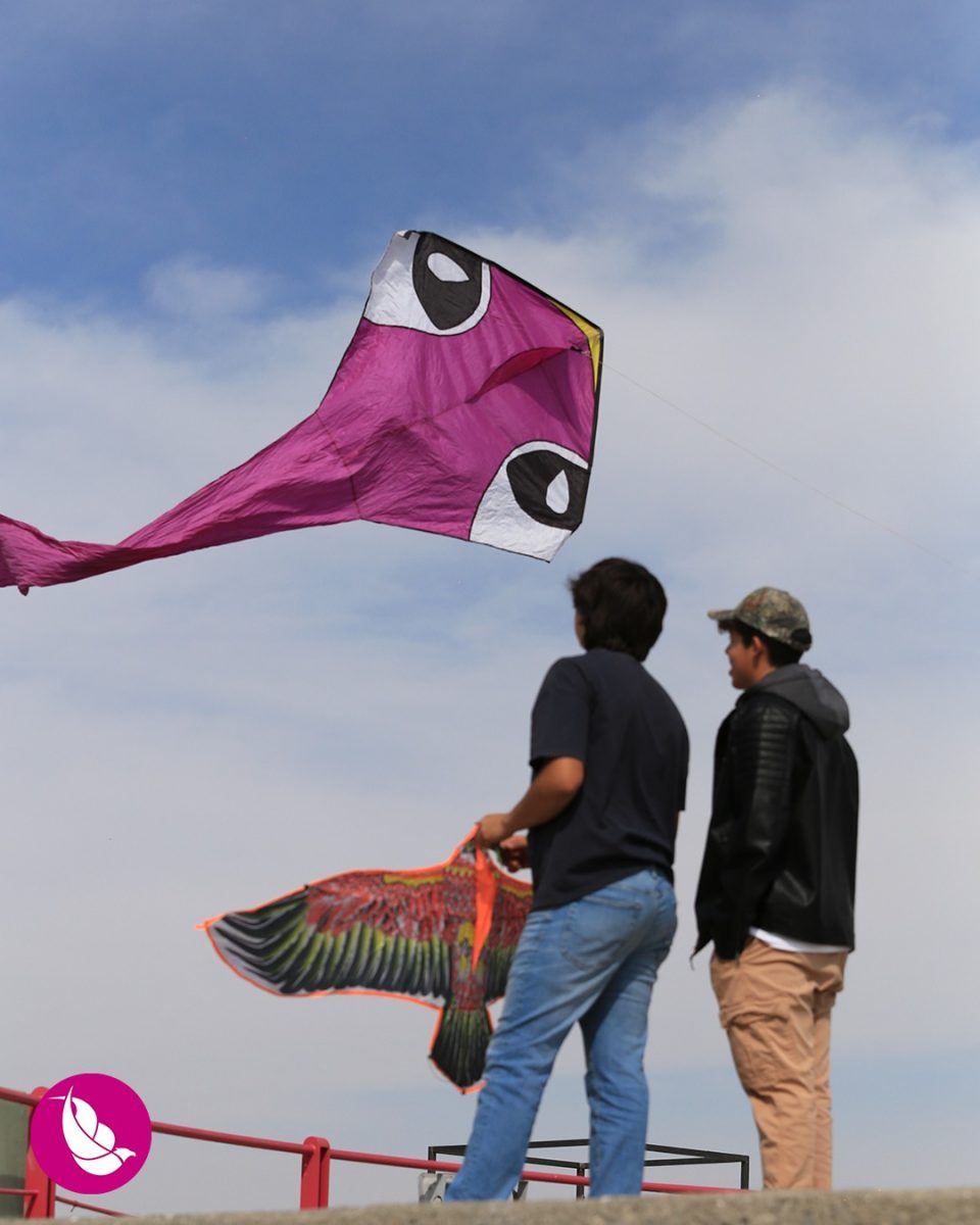 Festival Internacional de Papalotes y Cometas M.R. México