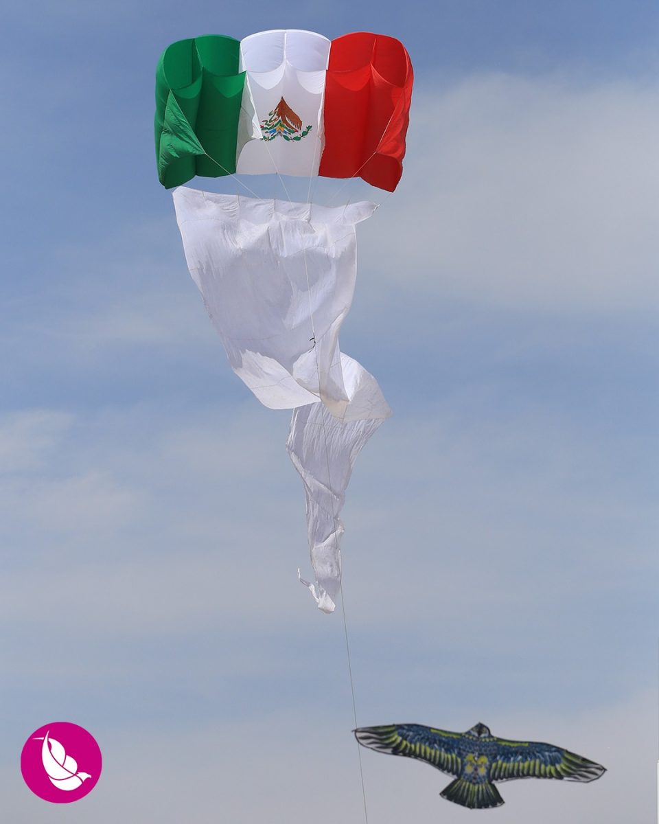 Festival Internacional de Papalotes y Cometas M.R. México