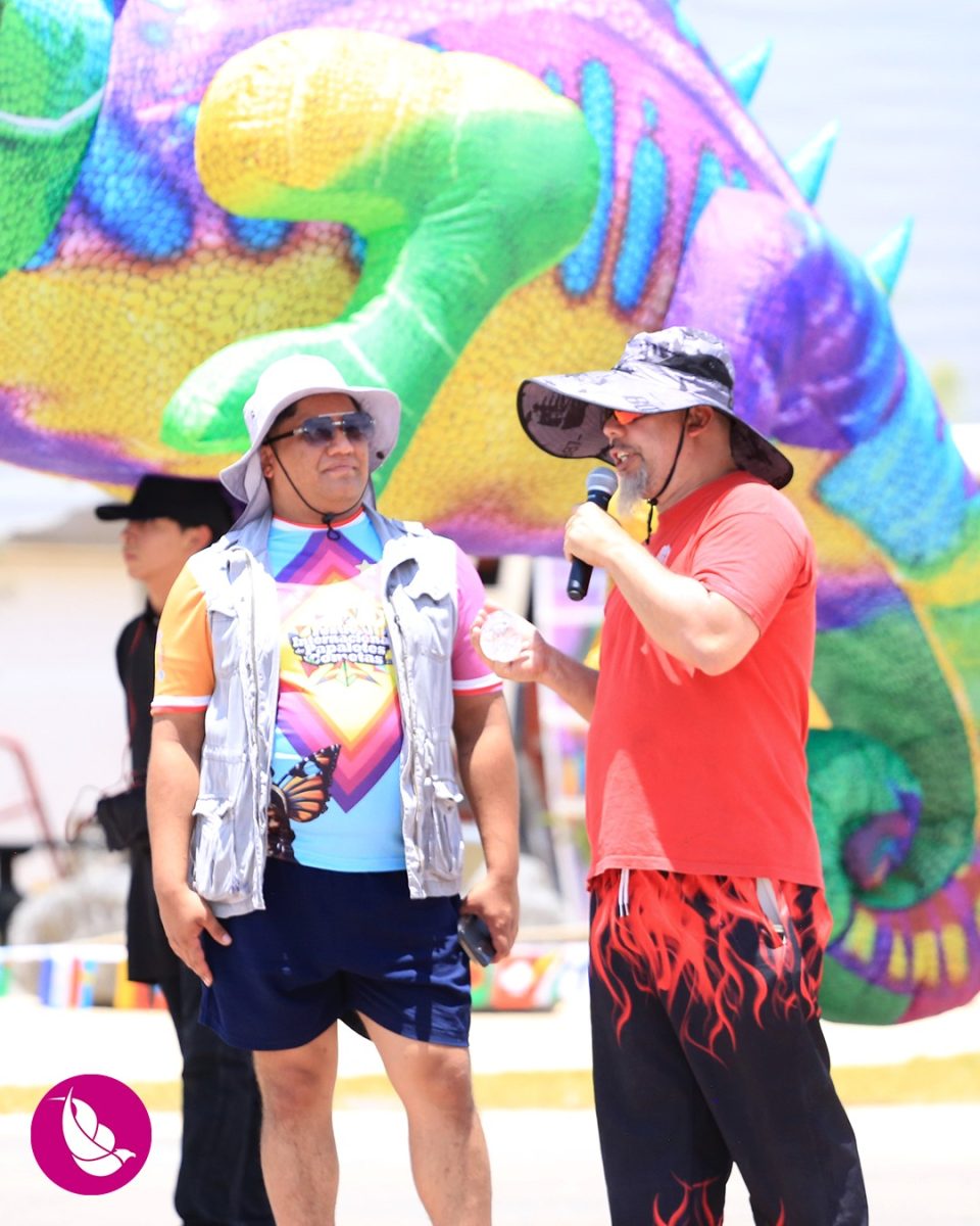 Festival Internacional de Papalotes y Cometas M.R. México