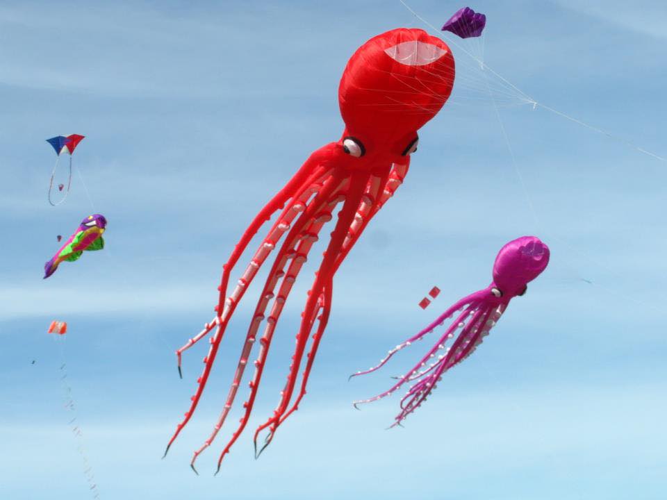 Festival Internacional de Papalotes y Cometas M.R. México