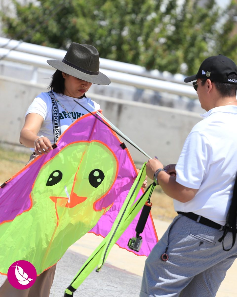 Festival Internacional de Papalotes y Cometas M.R. México