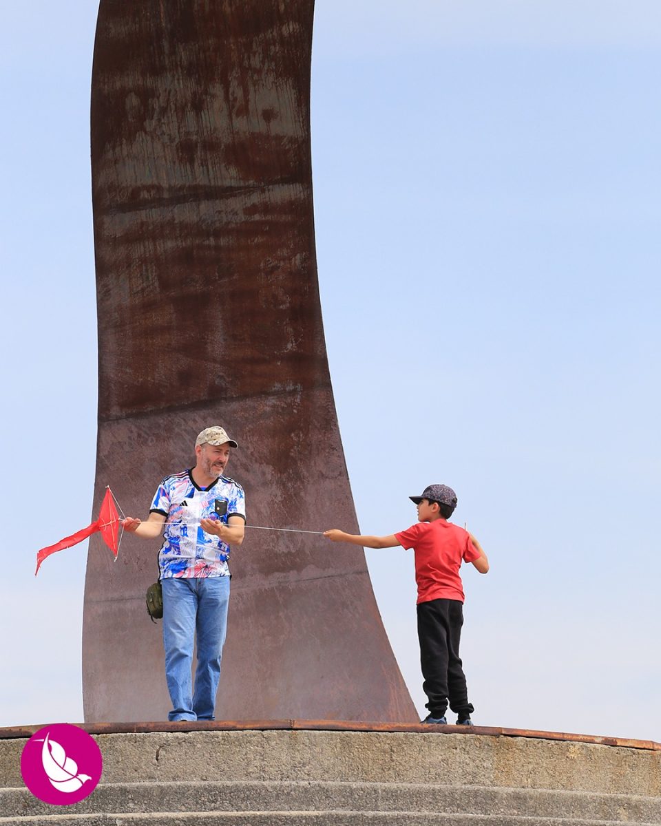 Festival Internacional de Papalotes y Cometas M.R. México