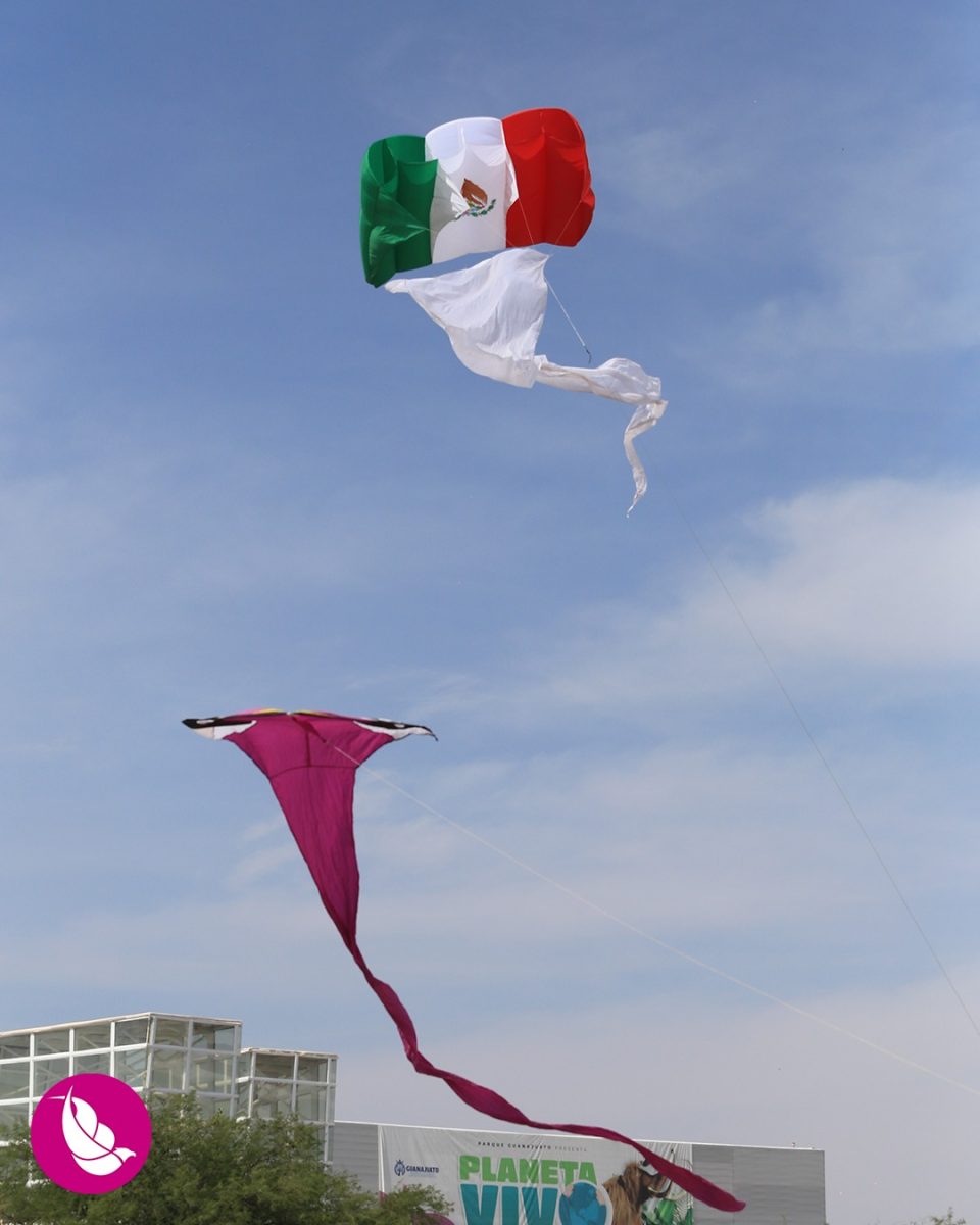 Festival Internacional de Papalotes y Cometas M.R. México