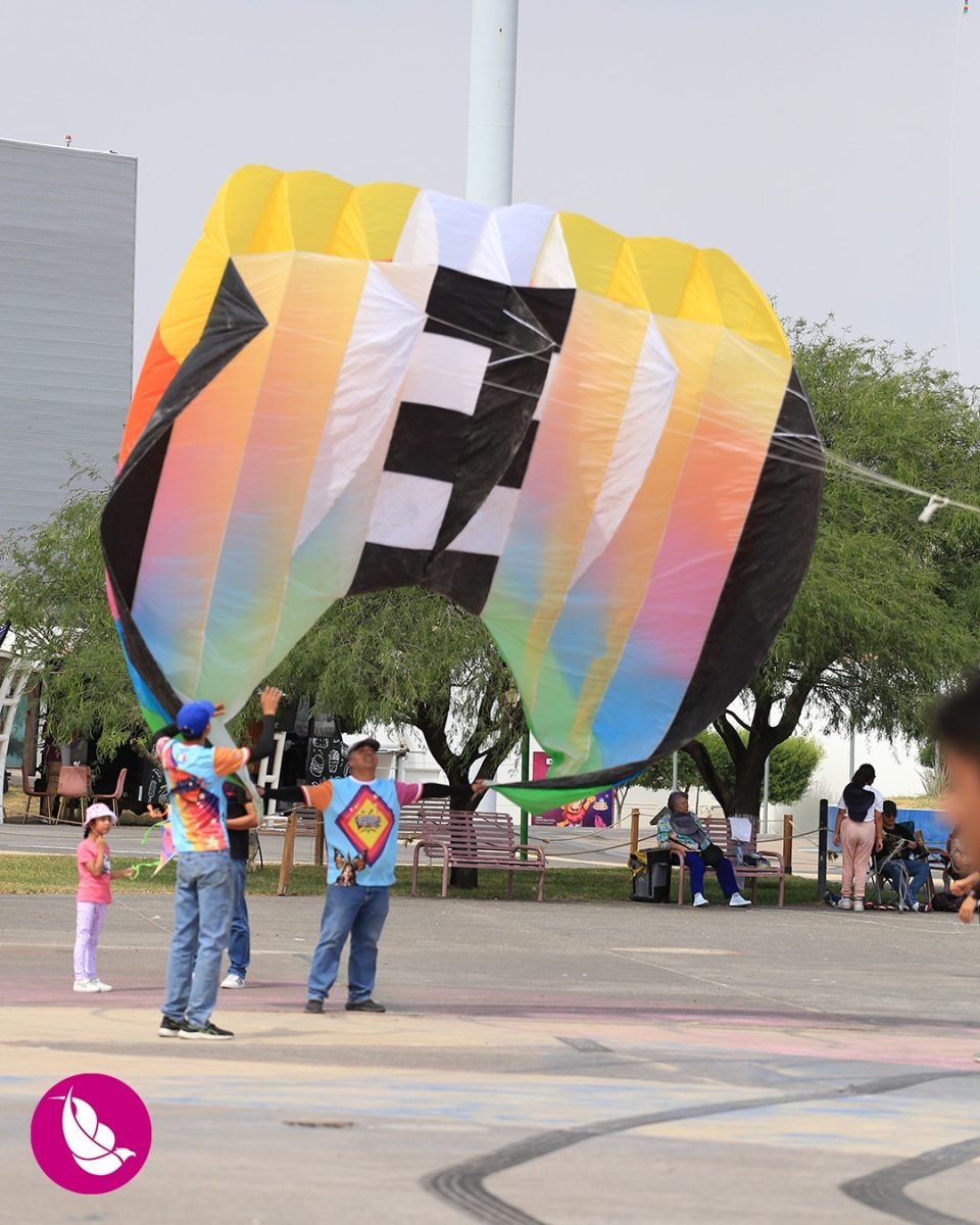 Festival Internacional de Papalotes y Cometas M.R. México
